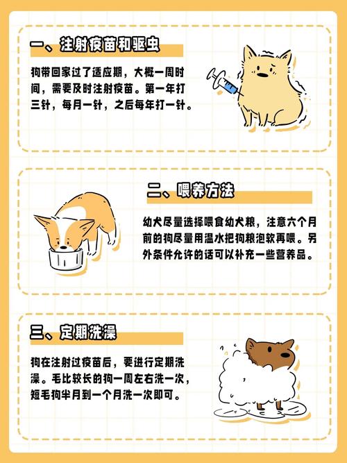 不思议迷宫新手养狗全攻略，新人养狗玩法深度解析