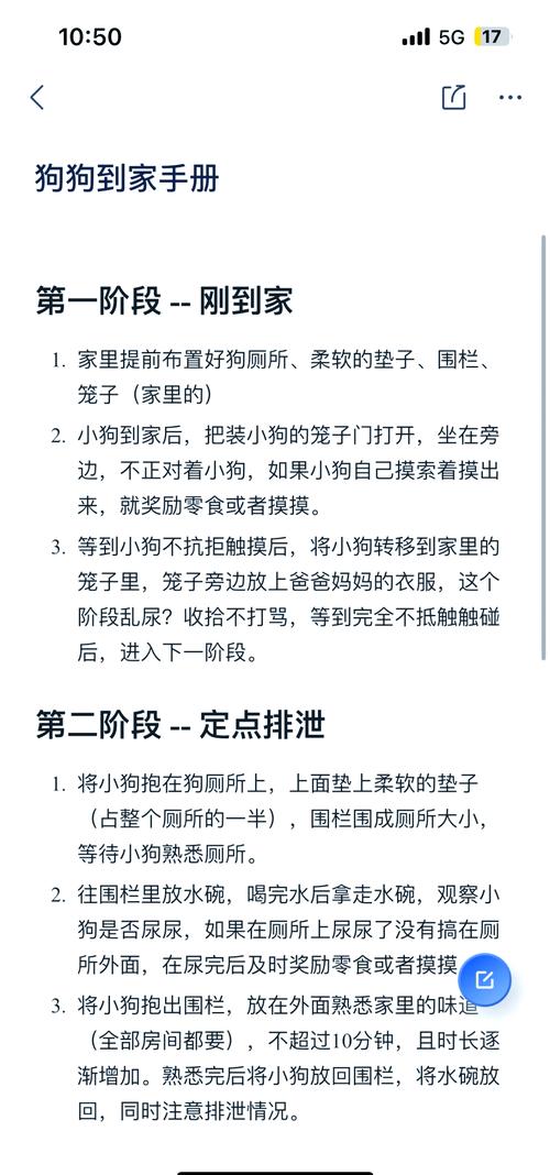 不思议迷宫新手养狗全攻略，新人养狗玩法深度解析