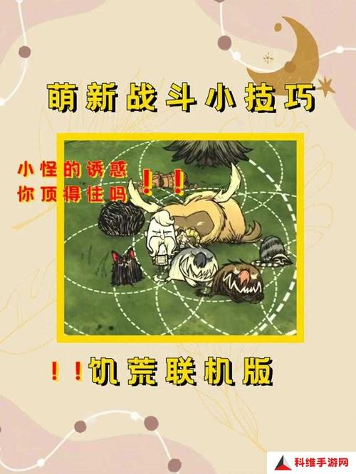 饥荒植物大全深度解析，生存与探索的绿色指南