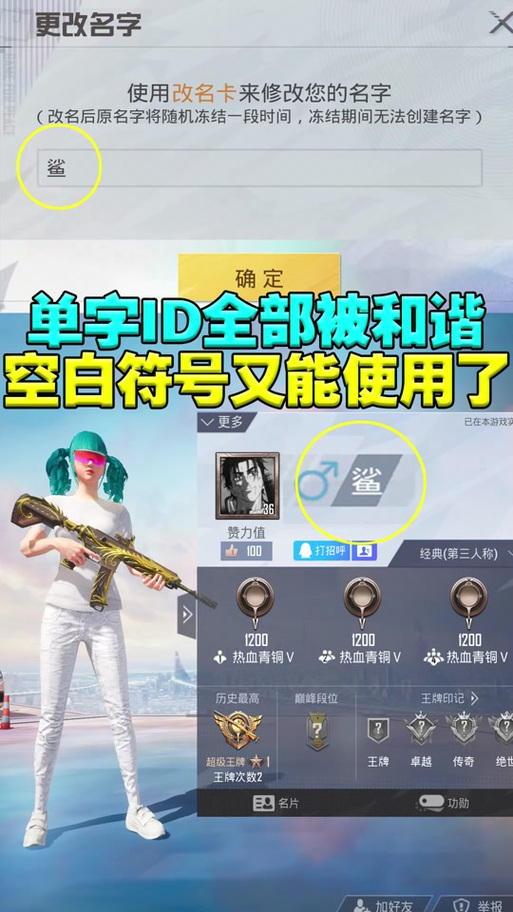 和平精英名字个性化指南，2022可复制特殊符号大全