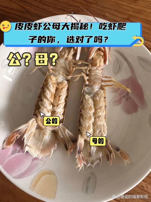 你是不是虾早点下班通关秘籍大揭秘