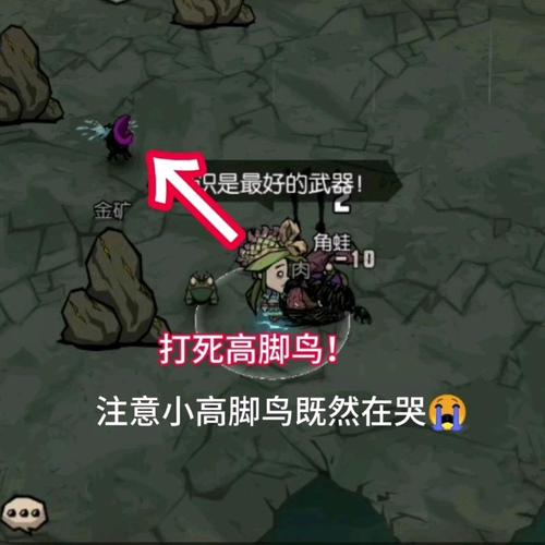 饥荒手游青年高脚鸟全面攻略,属性、用途与图鉴详解