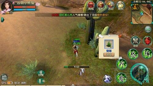 创造与魔法手游深度攻略，如何高效驯服宗马