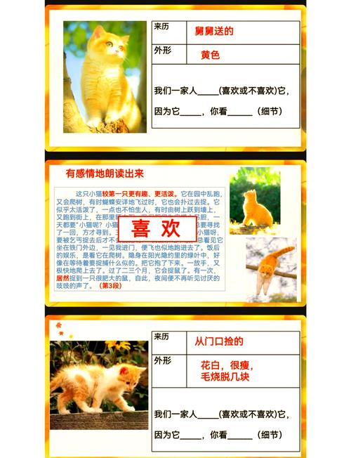 猫博物馆全关卡完美通关秘籍大揭秘
