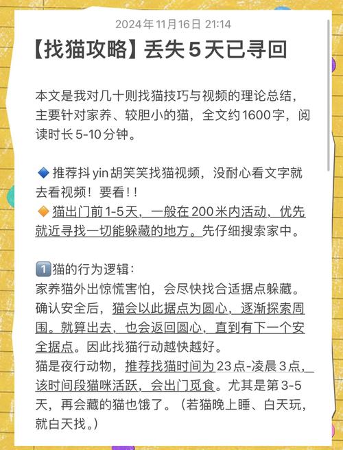猫博物馆全关卡完美通关秘籍大揭秘