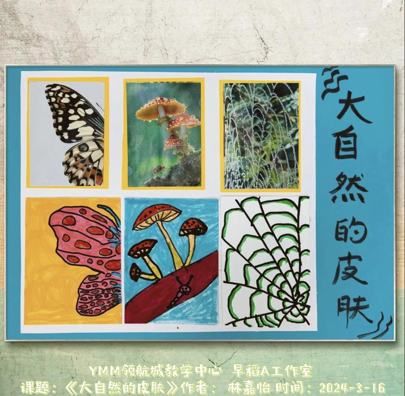 螺旋勇士自然域，探索古老力量与自然万物的奥秘