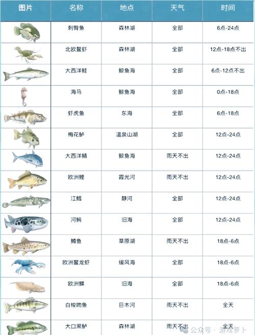 心动小镇钓鱼地点全揭秘