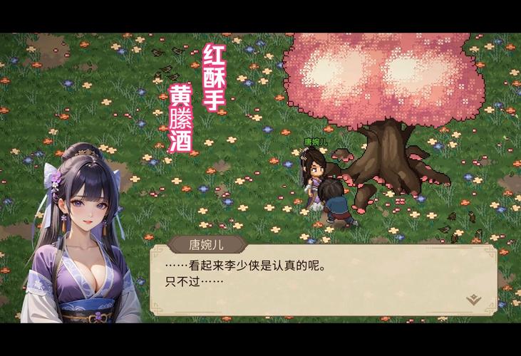 大侠立志传，唐婉儿结缘全攻略