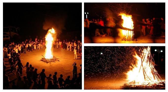 归龙潮纸伞书籍探寻全攻略