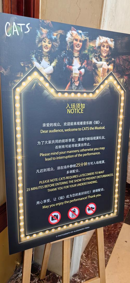 猫博物馆全关卡通关秘籍大揭秘