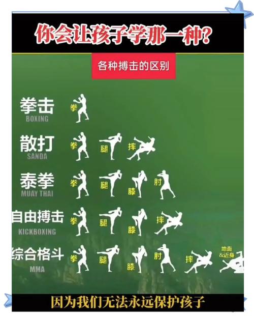 格斗挑战手游,类型全解析与致胜秘籍