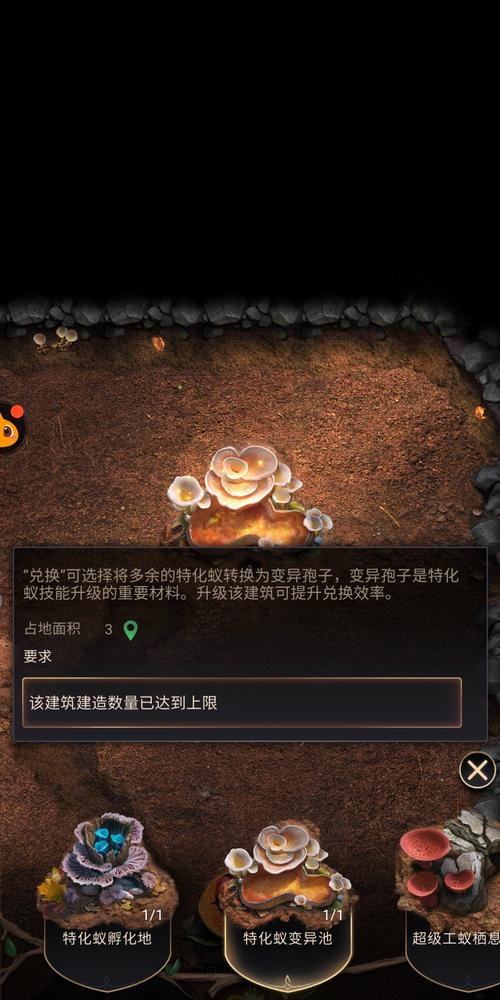 小小蚁国黑色猛蚁强度全方位剖析