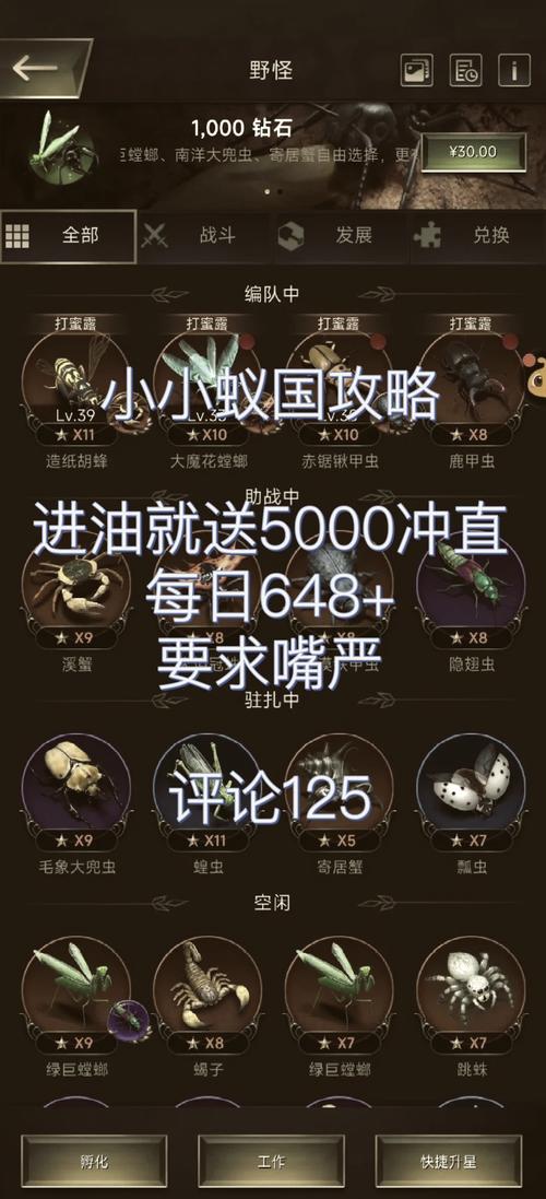 小小蚁国黑色猛蚁强度全方位剖析