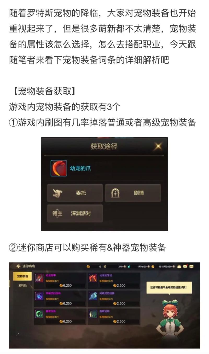 DNF 手游宠物装备掉落全攻略
