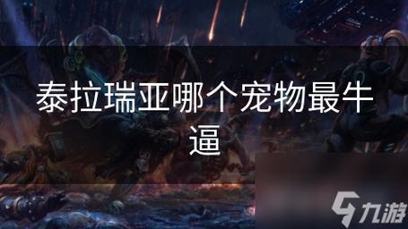 泰拉瑞亚宠物大比拼，谁是最佳之选