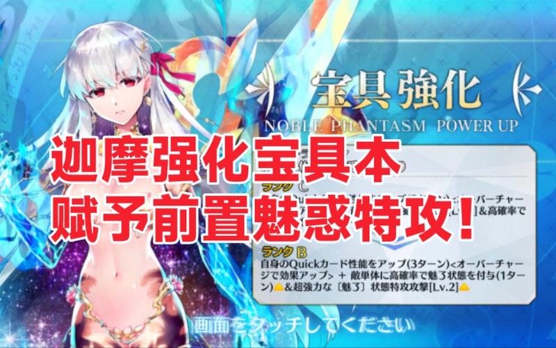 FGO C 狗宝具本与强化本全方位解析