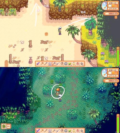 星露谷物语姜岛北部金核桃获取秘籍大公开