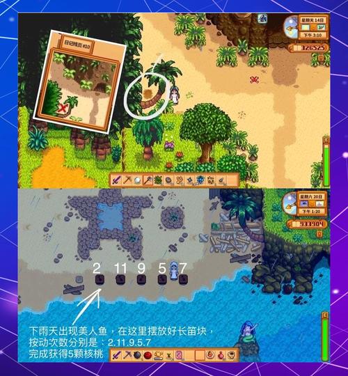 星露谷物语姜岛北部金核桃获取秘籍大公开