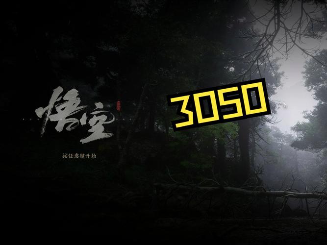 黑神话悟空在 3050 笔记本上的惊艳表现全解析