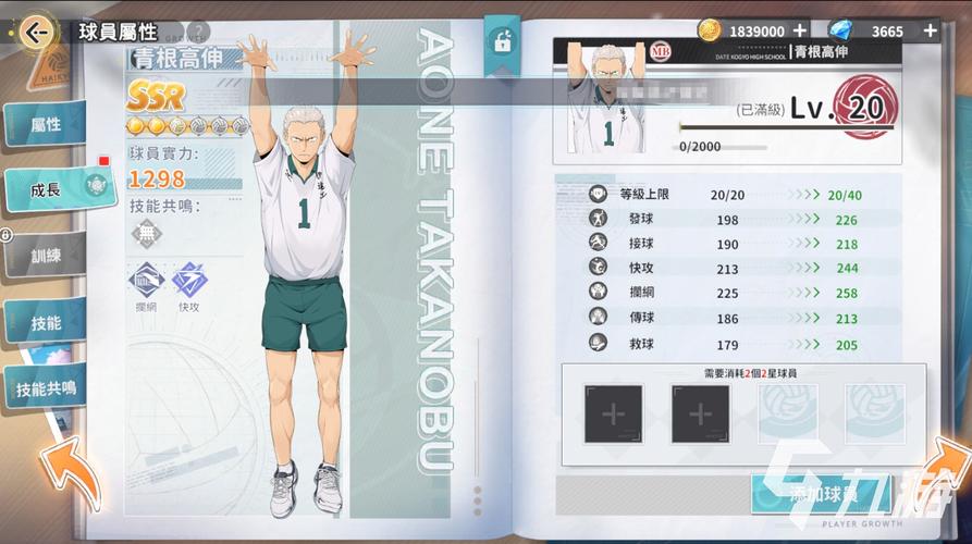 排球少年,新的征程球员潜能一键装备秘籍