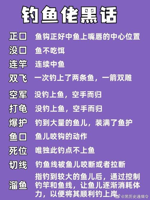 亘古垂钓，完美开局建号秘籍大公开