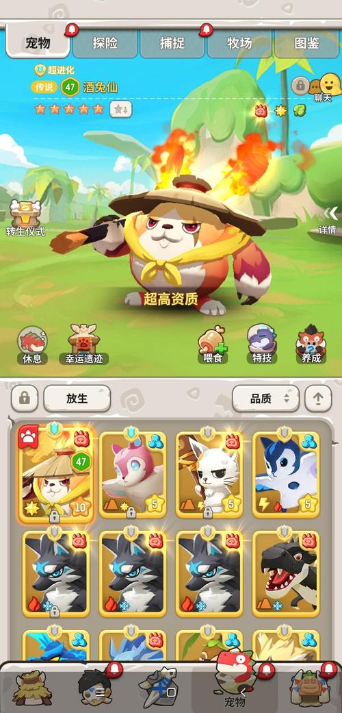 不休的乌拉拉宠物探险玩法全攻略