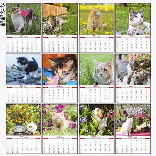 纸萌猫乐园 2024 最新免费兑换码全揭秘