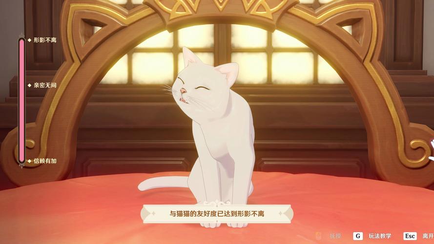 原神成就捉猫记详细攻略指南