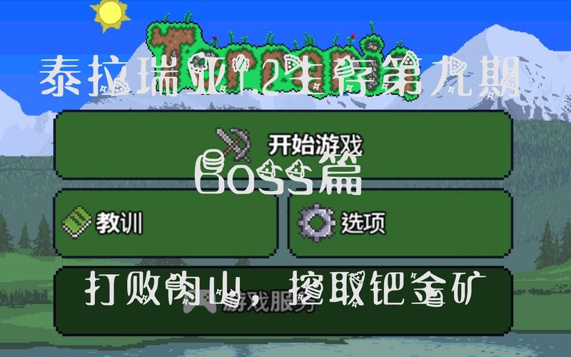 泰拉瑞亚钯金武器大揭秘，谁是最强王者