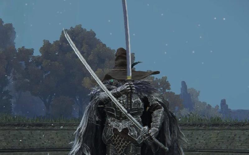 艾尔登法环，探寻双刀职业的神秘面纱