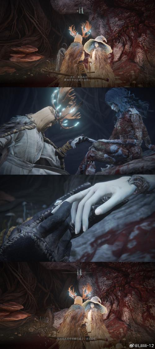 艾尔登法环，探寻双刀职业的神秘面纱