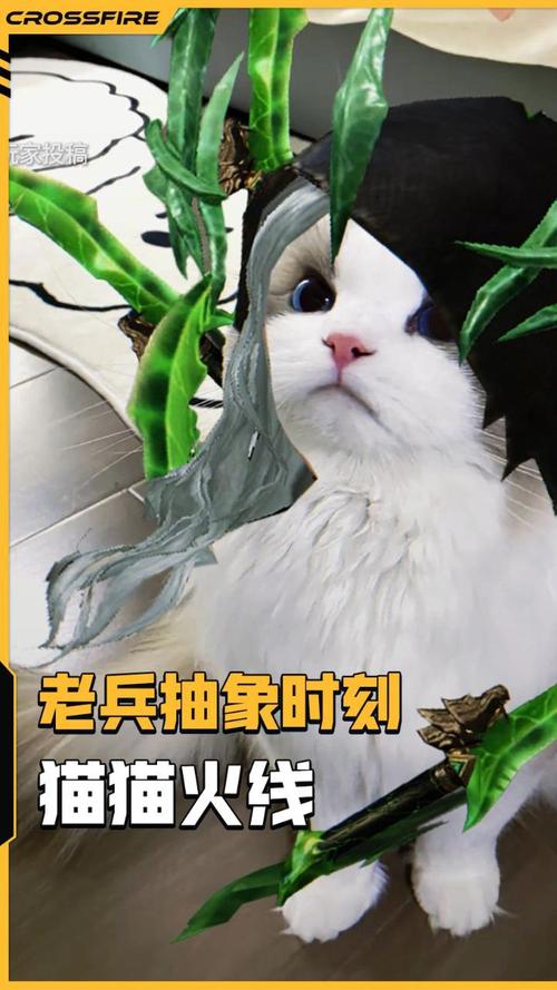 穿越火线手游，快速获取猫猫手套的终极攻略