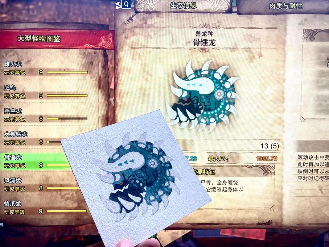 怪物猎人 XX 骸骨武器全解析