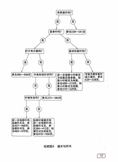 细胞分裂 3手游分支路线深度解析与攻略秘籍